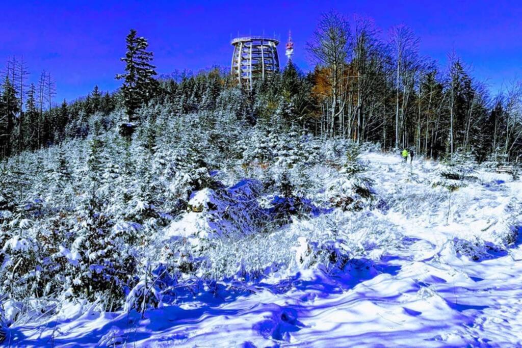Altstadtwohnung Gmundnerberg M. Traunseeblick 1B Gmunden Kültér fotó